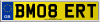 BM08 ERT