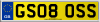 GS08 OSS