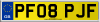 PF08 PJF