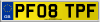 PF08 TPF