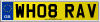 WH08 RAV