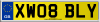 XW08 BLY