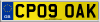 CP09 OAK