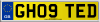 GH09 TED