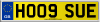 HO09 SUE
