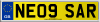 NE09 SAR