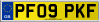 PF09 PKF