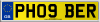 PH09 BER