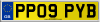 PP09 PYB
