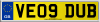VE09 DUB