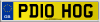 PD10 HOG