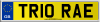 TR10 RAE