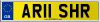 AR11 SHR