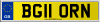 BG11 ORN