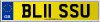 BL11 SSU