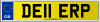 DE11 ERP