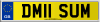 DM11 SUM