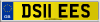 DS11 EES