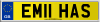 EM11 HAS
