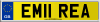 EM11 REA