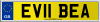 EV11 BEA