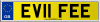 EV11 FEE