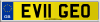 EV11 GEO
