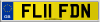FL11 FDN