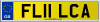 FL11 LCA