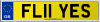 FL11 YES