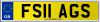 FS11 AGS
