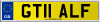 GT11 ALF
