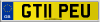 GT11 PEU