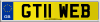 GT11 WEB