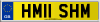 HM11 SHM