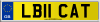 LB11 CAT
