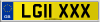 LG11 XXX