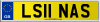 LS11 NAS