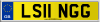 LS11 NGG