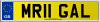 MR11 GAL
