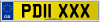 PD11 XXX