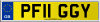 PF11 GGY