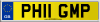 PH11 GMP
