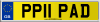 PP11 PAD