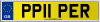 PP11 PER