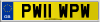 PW11 WPW