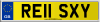 RE11 SXY