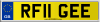 RF11 GEE