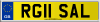RG11 SAL