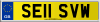 SE11 SVW